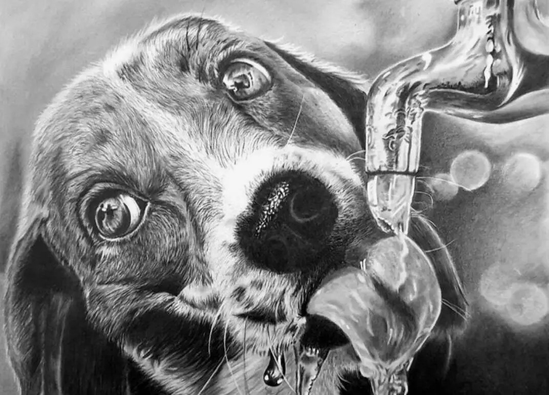 Thirsty Dog - Artwork by Vatsala