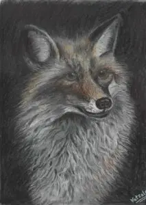 Detailed charcoal drawing of fox head portrait with alert ears and intelligent eyes, realistic wildlife artwork showcasing fur texture and natural expression