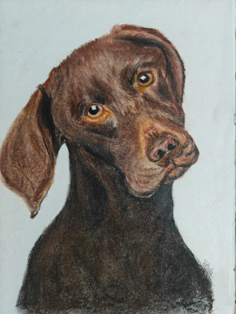 Realistic colored pencil and pastel portrait of brown dog with amber eyes tilting head in curious expression, detailed pet artwork showcasing rich chocolate coat colors