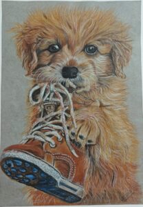 Playful Paws: A Cute Furry Dog Having Fun with a Shoe