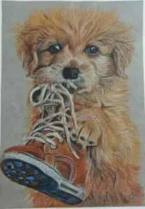Adorable colored pencil and pastel drawing of fluffy golden puppy playing with a brown leather shoe, realistic pet artwork showcasing soft fur texture and playful behavior