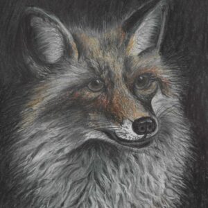 Shadowed Whispers: A Fox in the Dark Night