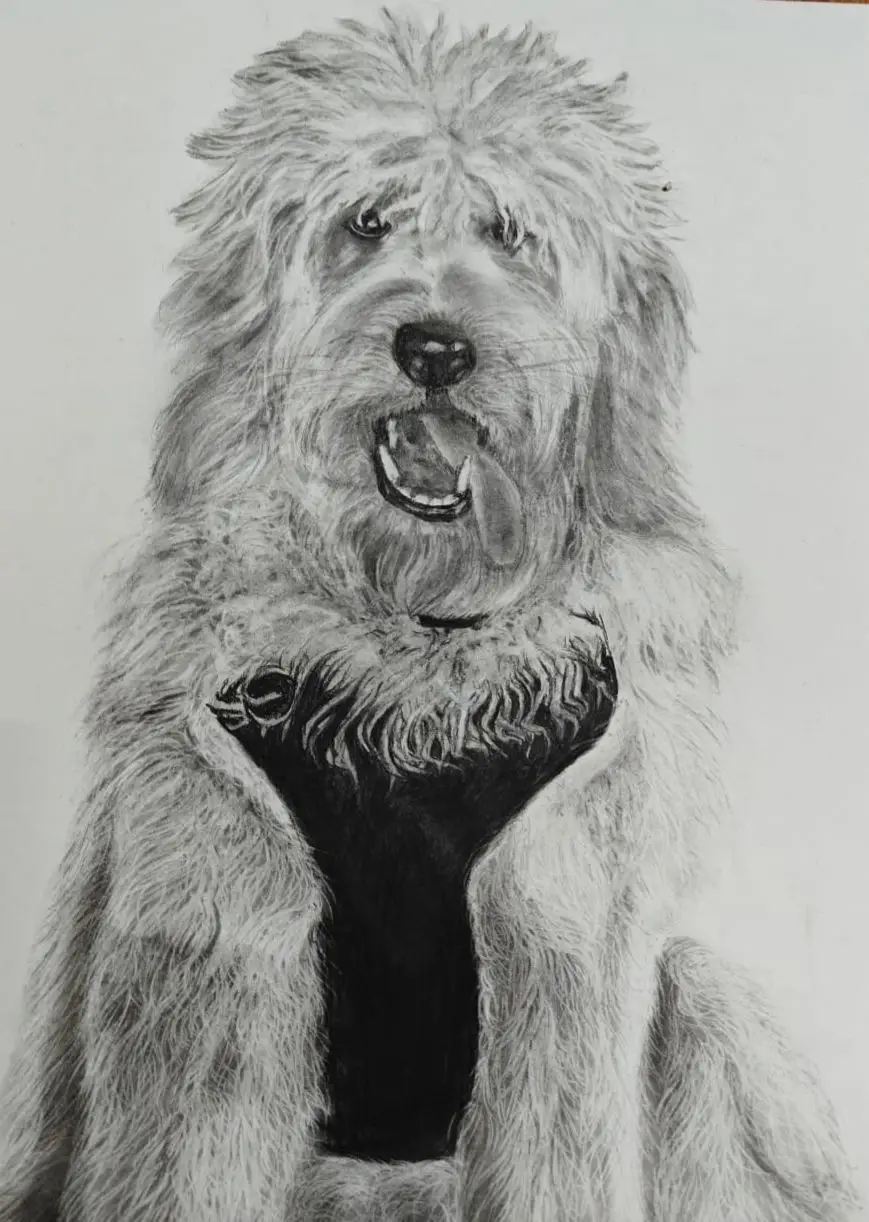 Dog Portrait